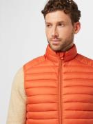 Gilet 'Adam'