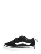 Vans - Td Ward V