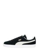 Puma - Suede Classic+