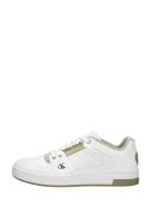 Calvin Klein - Cupsole Laceup Basket Low Lth
