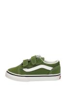 Vans - Td Old Skool