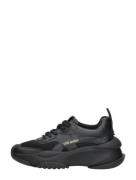 Steve Madden - Belissimo