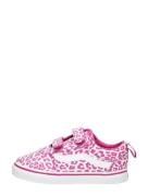 Vans - Ward V
