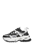 Buffalo - Triplet Hollow