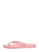 Ipanema - Anatomic Colors