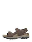 Skechers - Relaxed Fit: Tresmen - Garo