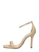 Steve Madden - Uphill