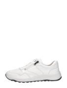 Waldläufer - K-john