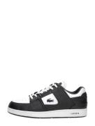 Lacoste - Court Cage