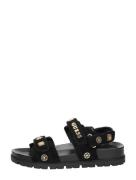 Guess - Florizi