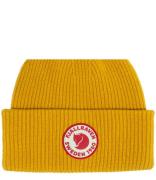 1960 Logo Hat