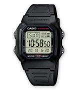 Casio Collection Men W-800H-1AVES