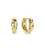 925 Sterling Silver Earrings 78006MC