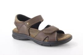 Panama Jack Sanders c9 heren sandalen