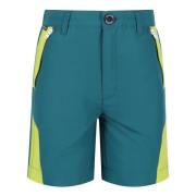 Regatta Sorcer ii bergshorts voor kinderen/kinderen