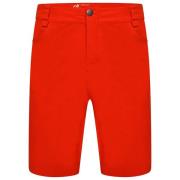 Dare2b Heren afgestemd in ii multi pocket walking shorts