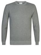 Profuomo Crewneck trui