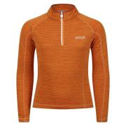 Regatta Kinderen/kinderen berley half zip top met lange mouwen