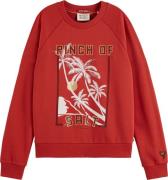 Scotch & Soda Relaxed fit raglan sleeved graphic rustic 