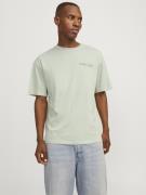 Jack & Jones Jorfountain tee ss crew neck ft sty