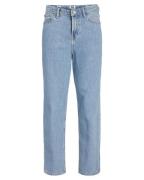 Jack & Jones Jeans 12251365