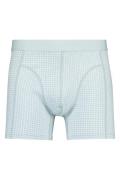 America Today Boxershort alex