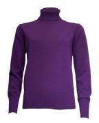 Roberto Sarto Pullover 431230