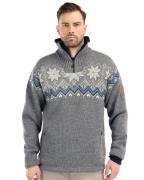 Dale of Norway Pullover 93971 fongen wp m