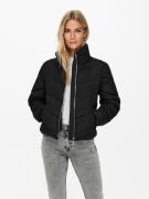 Jacqueline de Yong Jdyfinno short padded jacket otw ha