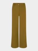 Ydence pants solange olive