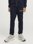 Jack & Jones Jpstkarl jjvesterbro newton sweat b