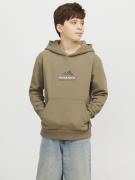 Jack & Jones Jcolima logo sweat hood bf jnr