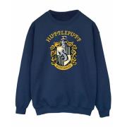 Harry Potter Heren hufflepuff sweatshirt