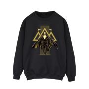 DC Comics Heren adam rising gouden symbolen sweatshirt