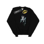 DC Comics Heren batman alex ross catwoman sweatshirt