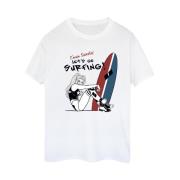 DC Comics Dames harley quinn let's go surfing katoenen vriendje t-shir...