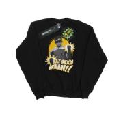 DC Comics Heren batman tv-serie robin holy smokes sweatshirt