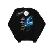 Harry Potter Heren glimlachen op zweinstein sweatshirt