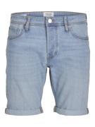 Jack & Jones Jwhrick jjoriginal shorts sq 437