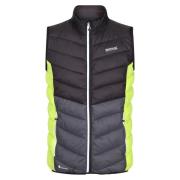 Regatta Heren harrock body warmer