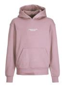 Jack & Jones Jorvesterbro sweat hood noos jnr licht