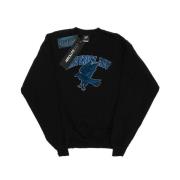 Harry Potter Dames sweatshirt ravenclaw heather