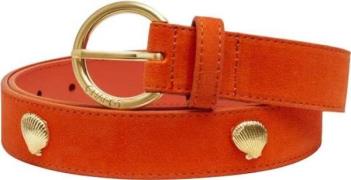 Fabienne Chapot Studded shell belt