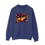 DC Comics Dames the flash pillars sweatshirt