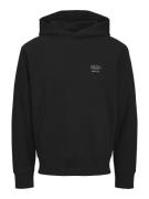 Jack & Jones Jcoconcrete globe sweat hood