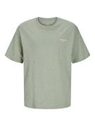 Jack & Jones Jjjeff monochrome tee ss crew neck