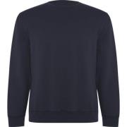 Roly Unisex adult batian sweatshirt met ronde hals