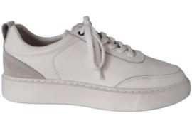 Berkelmans 251293910 sneaker