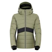 Dare2b Dames glacial ski-jas