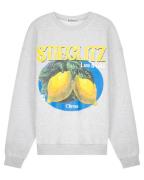 Stieglitz Sweat s2502047 lave